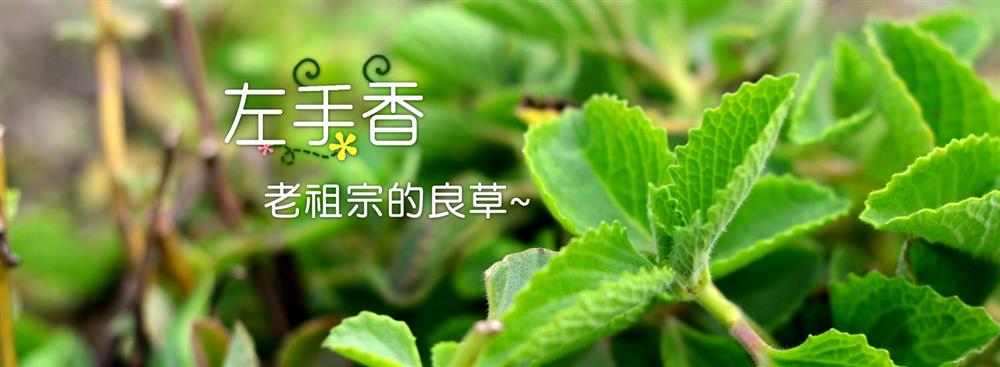 新鮮博士 - 集益興 - 左手香生活故事館